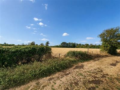 Picture 27